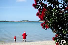 New Zealand Christmas